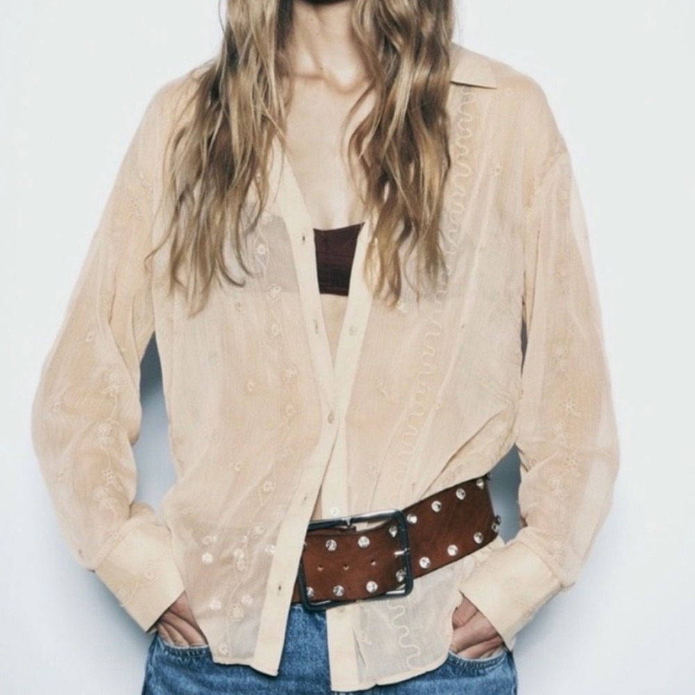 Zara Sheer Embroidered Button Down Shirt Tan Beige Floral Boho Blouse Large cc